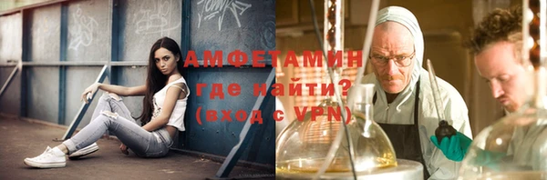 шишки Аркадак