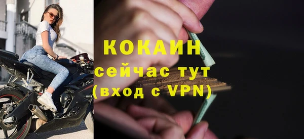 шишки Аркадак