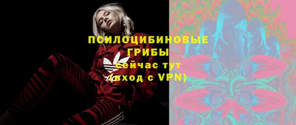 шишки Аркадак