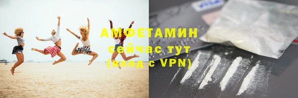 шишки Аркадак