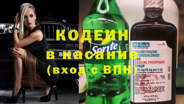 шишки Аркадак