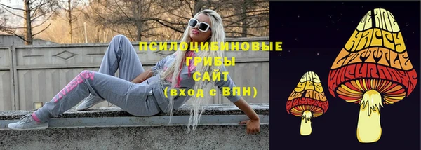 дживик Армянск