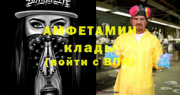 шишки Аркадак
