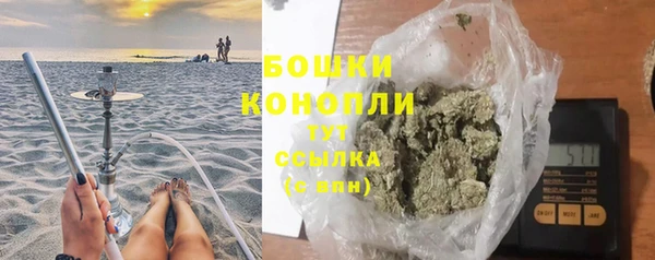 шишки Аркадак
