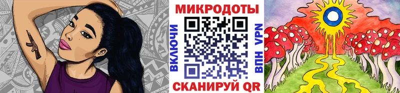 где продают   Протвино  Псилоцибиновые грибы мицелий 