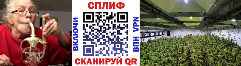 hydra онион  Протвино  Конопля индика 